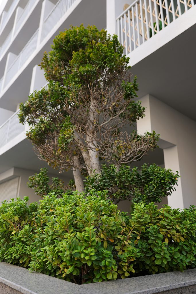 Luma21 Exterior